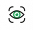 Vision